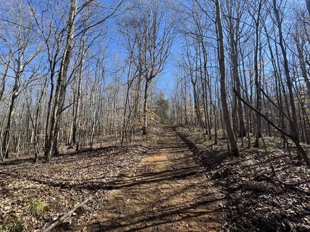 a view of a backyard of the house