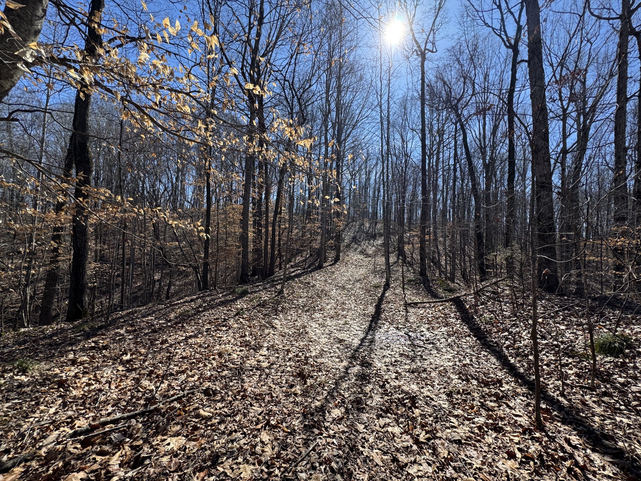 0 Waterfall Creek Road Collinwood, TN 38450 - Photo 42 of 48 a view of a backyard of the house