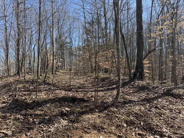 a view of a backyard of the house