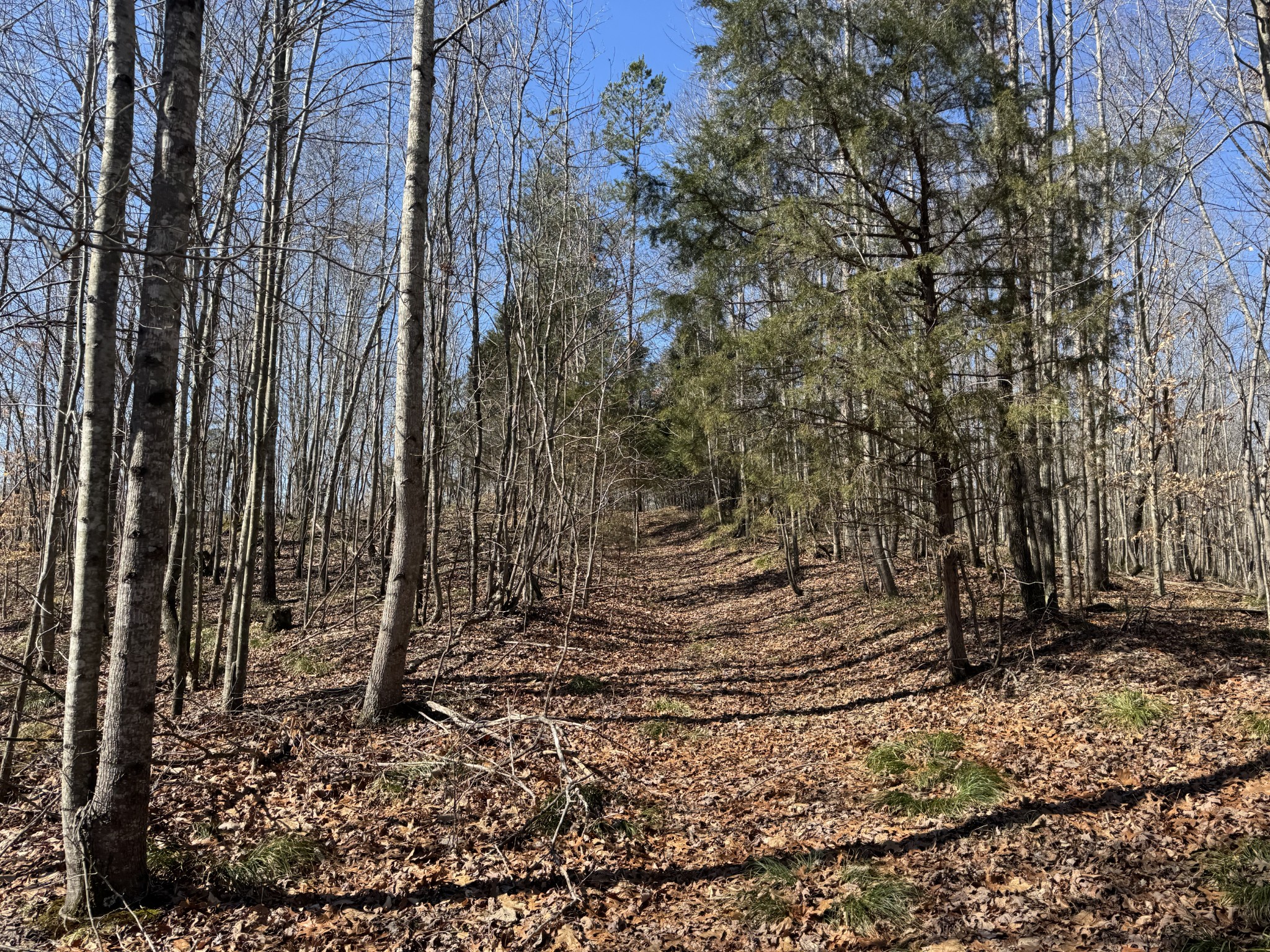 0 Waterfall Creek Road Collinwood, TN 38450 - Photo 44 of 48 a view of a backyard of the house