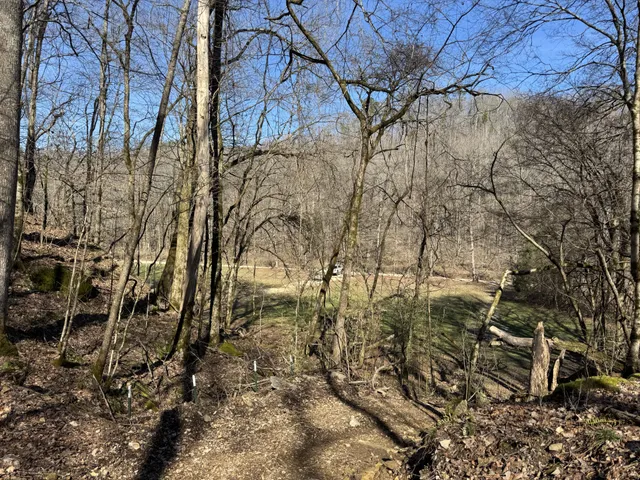 a view of house with trees