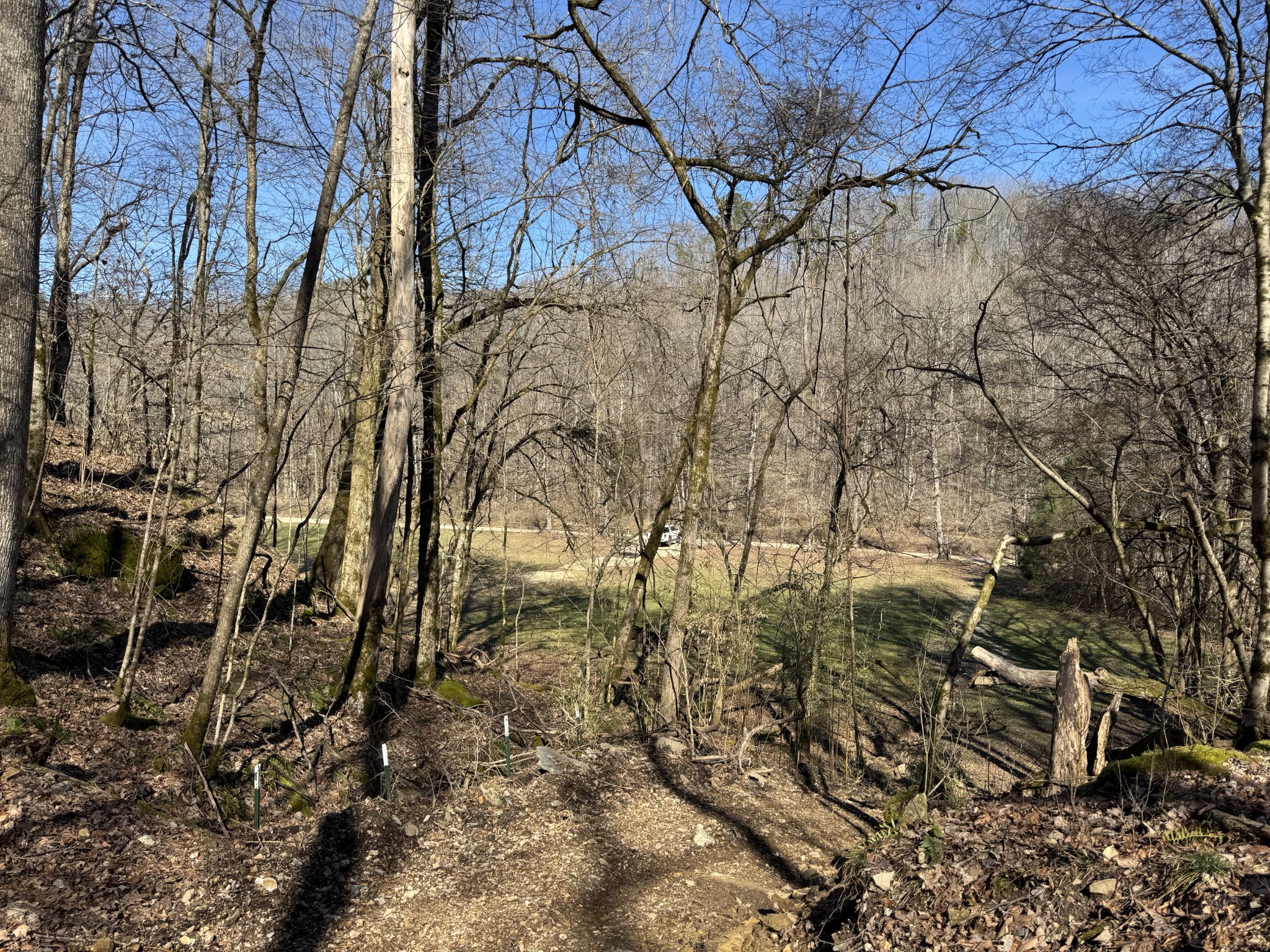 0 Waterfall Creek Road Collinwood, TN 38450 - Photo 47 of 48 a view of a yard with lots of trees