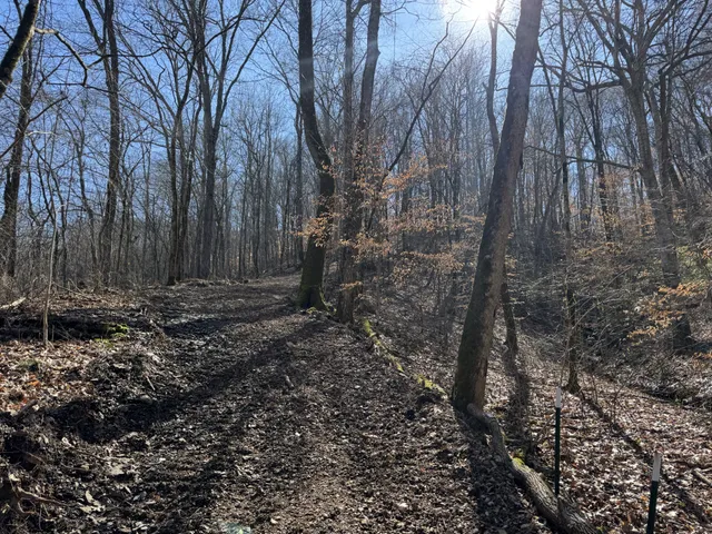 $499,900 | 0 Waterfall Creek Road, Collinwood, TN 38450