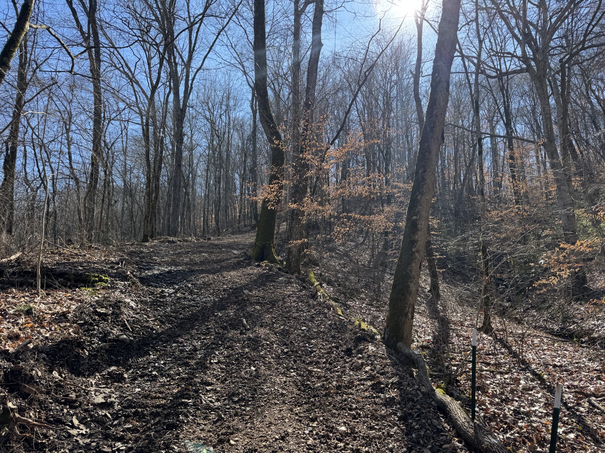 0 Waterfall Creek Road Collinwood, TN 38450 - Photo 48 of 48 a view of house with trees