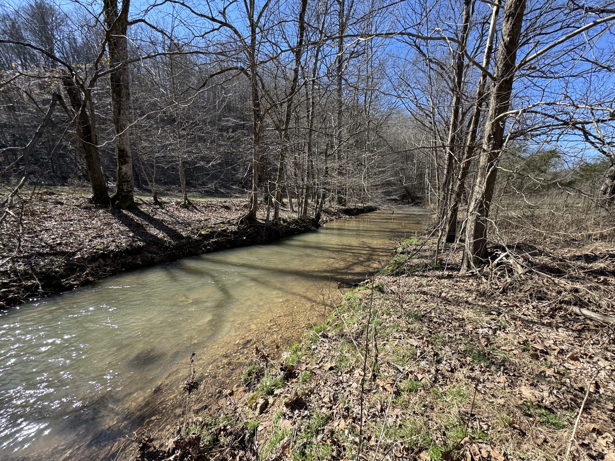 0 Waterfall Creek Road Collinwood, TN 38450 - Photo 5 of 48 a view of a backyard of the house