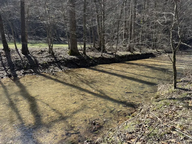 a view of a yard with trees