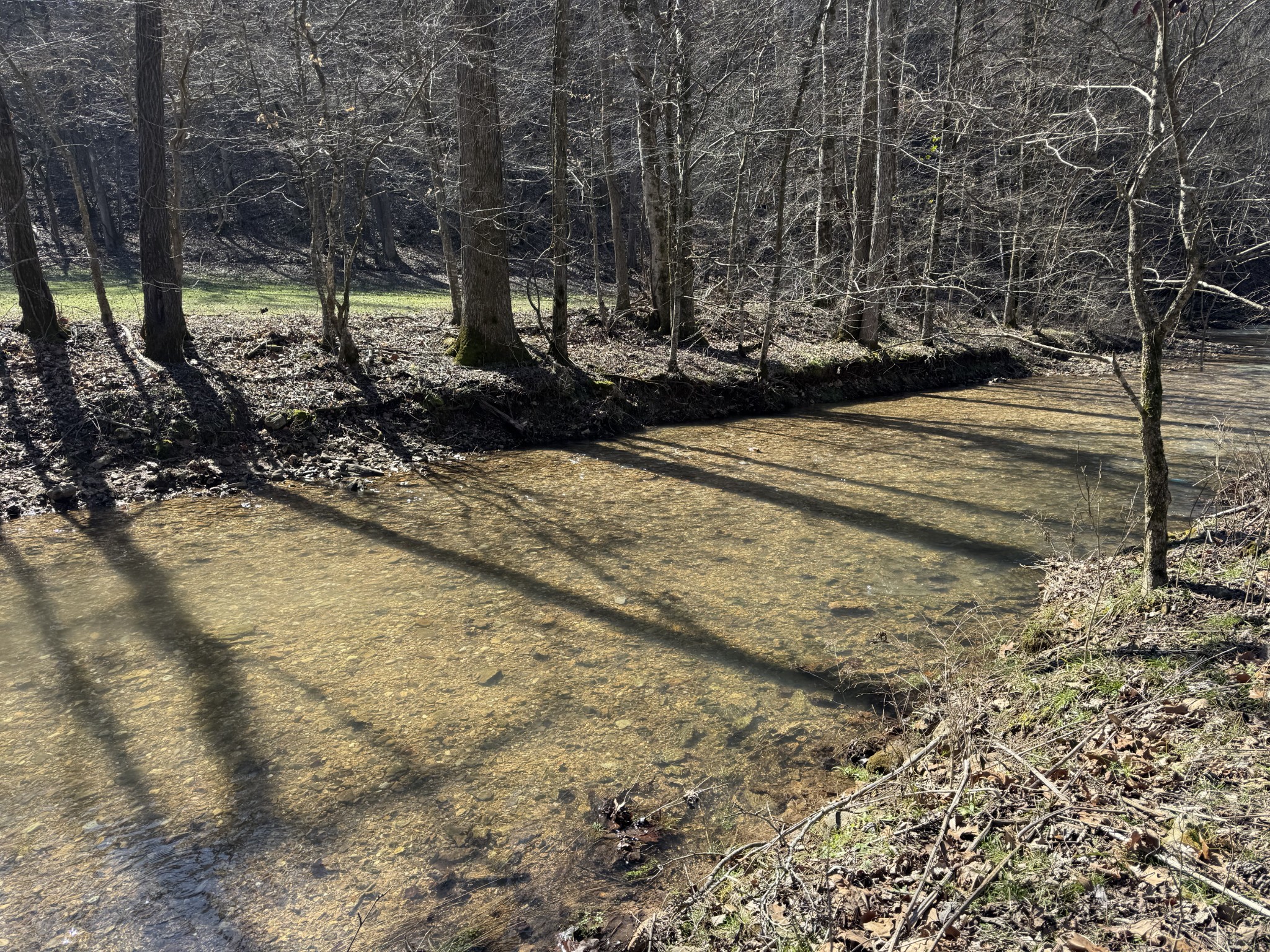 0 Waterfall Creek Road Collinwood, TN 38450 - Photo 6 of 48 a view of a yard with trees