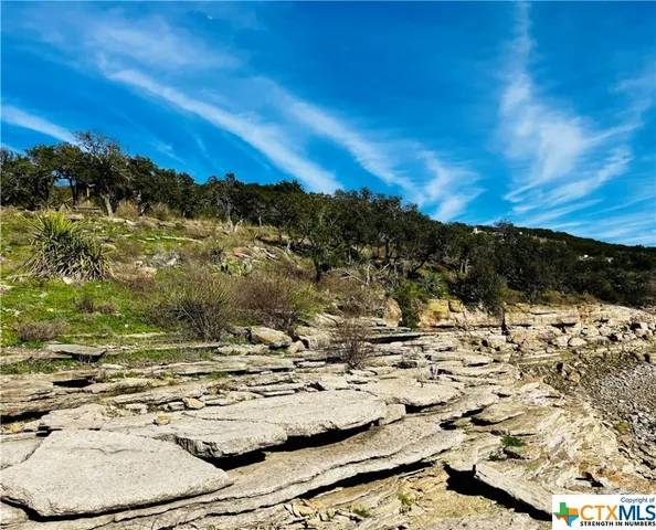 a view of a lake with a tree