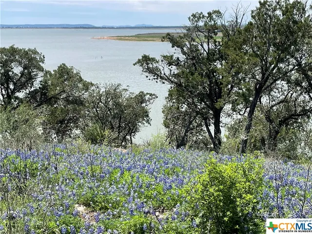 a view of a house with a tree