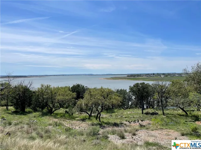 a view of a lush green space