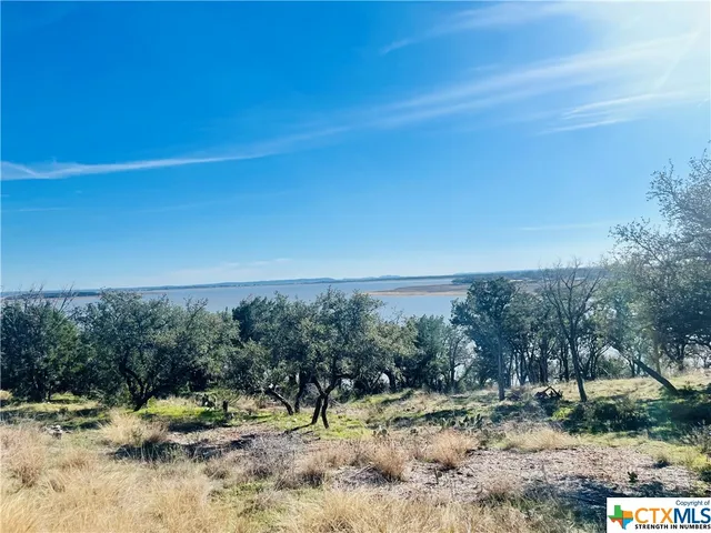 a view of a lake with a mountain