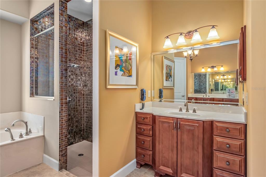 12610 Northwest Gainesville Road Reddick, FL 32686 - Photo 25 of 90 a bathroom with a tub sink and mirror