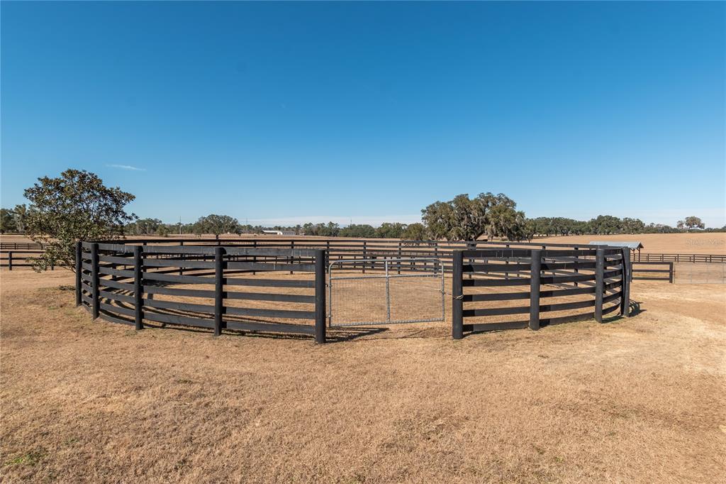 12610 Northwest Gainesville Road Reddick, FL 32686 - Photo 58 of 76