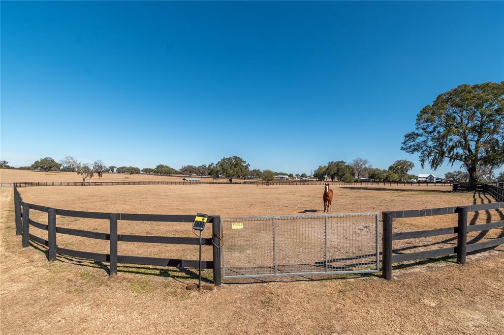 12610 Northwest Gainesville Road Reddick, FL 32686 - Photo 61 of 76