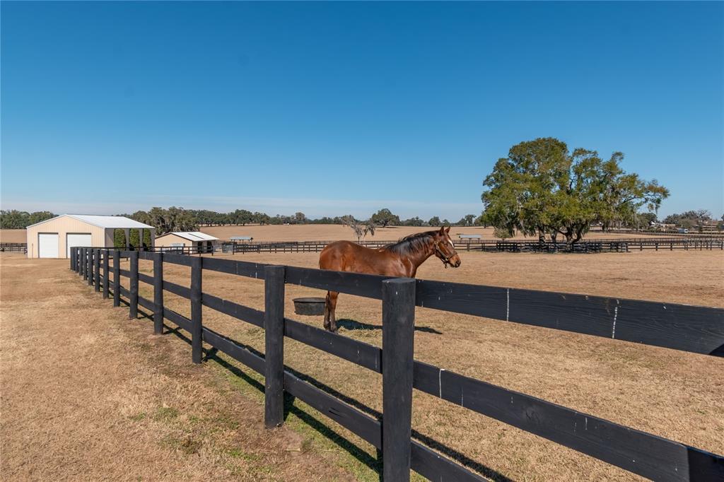 12610 Northwest Gainesville Road Reddick, FL 32686 - Photo 62 of 76