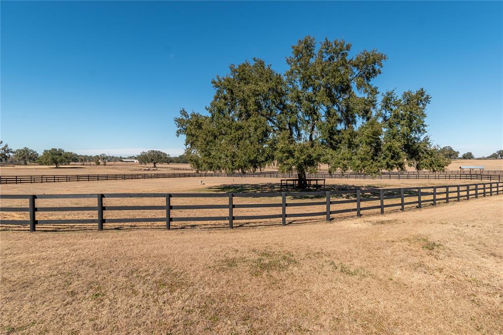 12610 Northwest Gainesville Road Reddick, FL 32686 - Photo 66 of 90