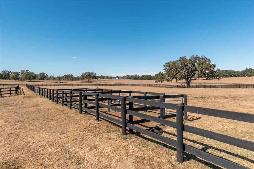 12610 Northwest Gainesville Road Reddick, FL 32686 - Photo 68 of 90 a view of a terrace with skyline