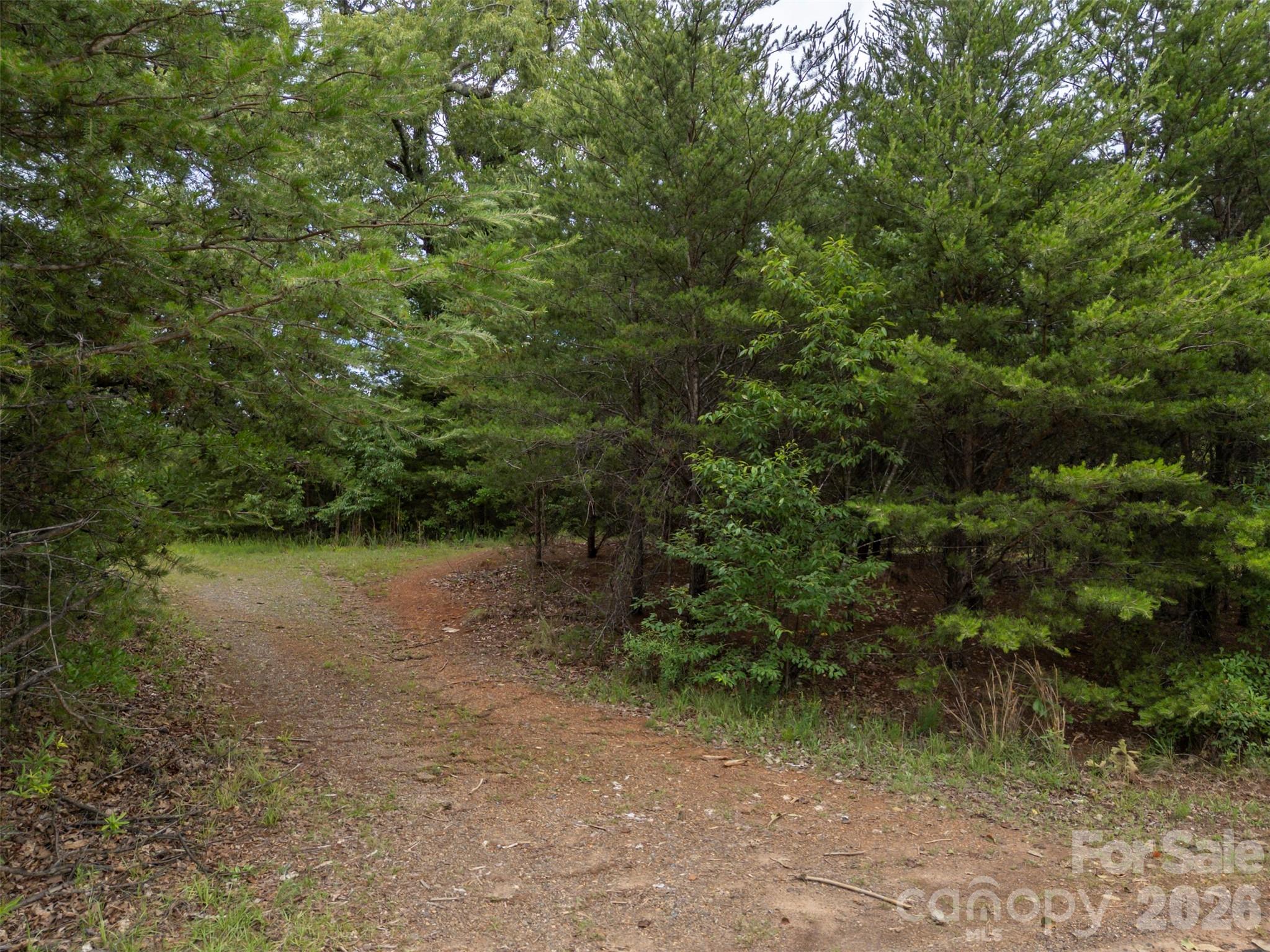 262 Flat Rock Road Forest City, NC 28043 - Photo 8 of 41