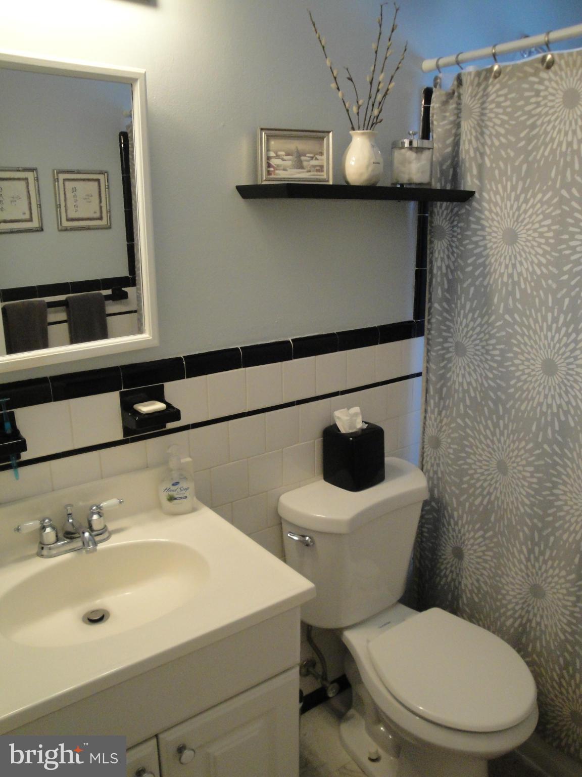 1031 Downton Road Baltimore, MD 21227 - Photo 11 of 13 Bath