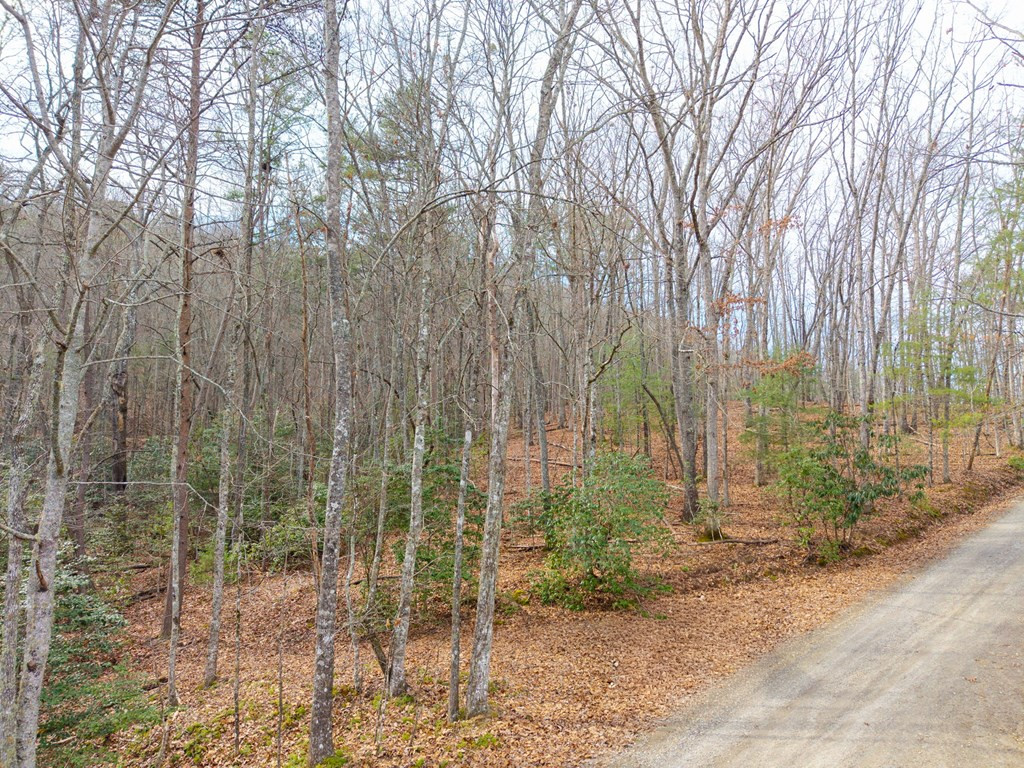 52 B Forest View Murphy, NC 28906 - Photo 5 of 13