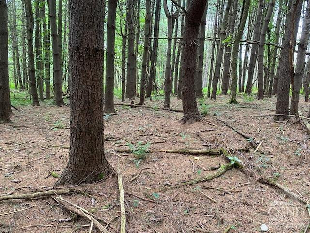 0 Poole Hill Road Ancram, NY 12502 - Photo 4 of 7 Photo 4