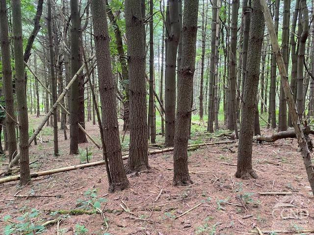 0 Poole Hill Road Ancram, NY 12502 - Photo 5 of 7 Photo 5