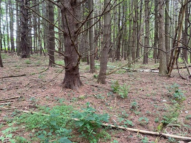 0 Poole Hill Road Ancram, NY 12502 - Photo 6 of 7 Photo 6