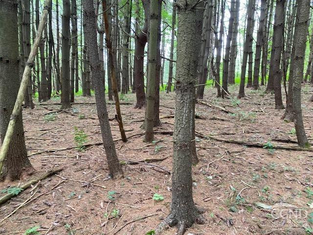 0 Poole Hill Road Ancram, NY 12502 - Photo 7 of 7 Photo 7