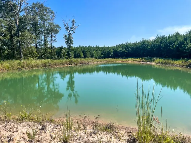 $180,000 | Tbd Union Springs Road, Corrigan, TX 75939