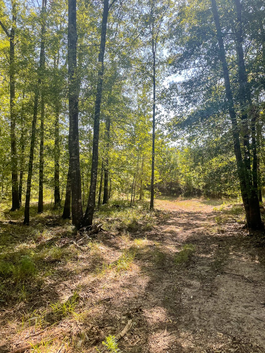 Tbd Union Springs Road Corrigan, TX 75939 - Photo 11 of 20