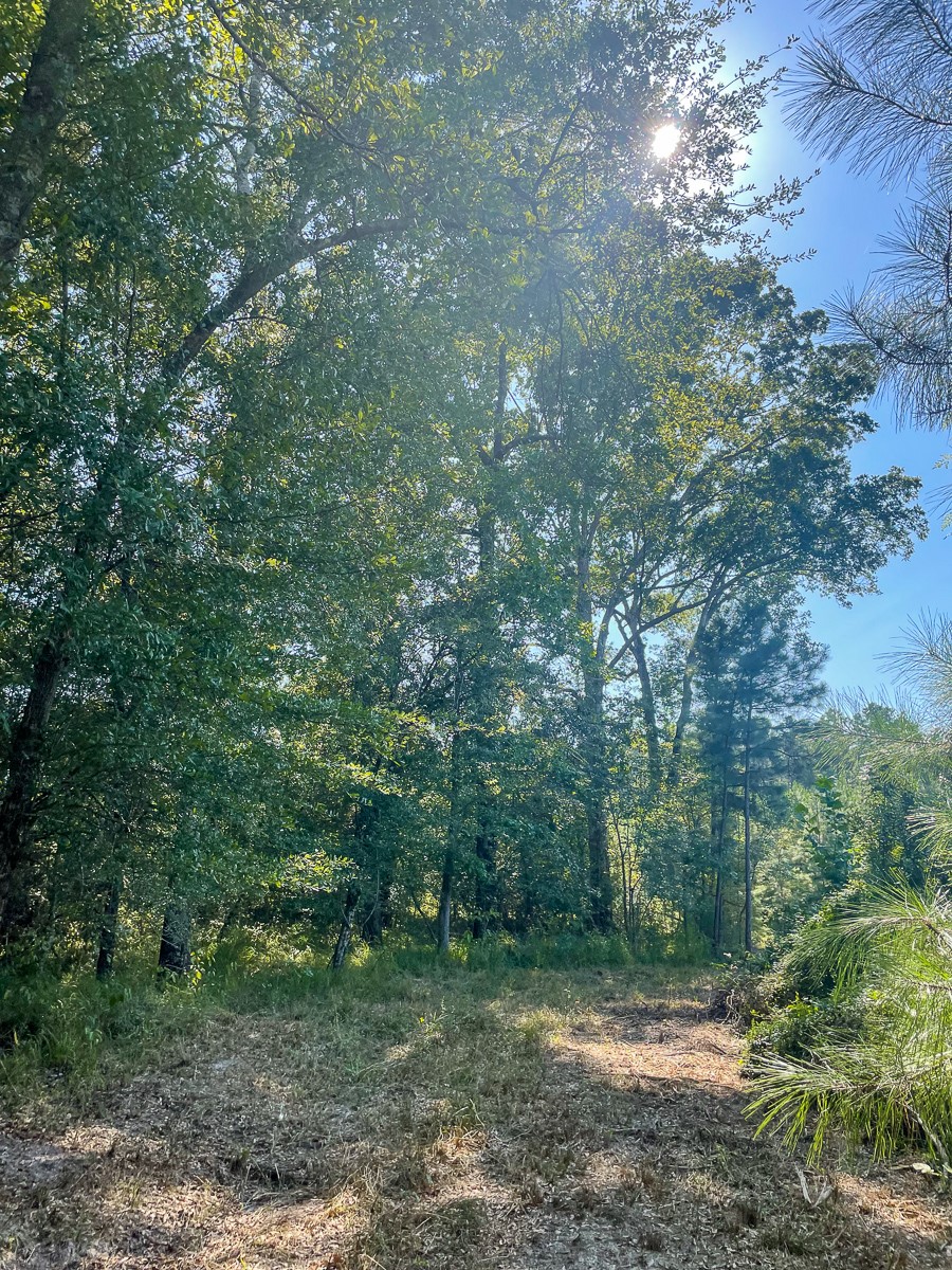 Tbd Union Springs Road Corrigan, TX 75939 - Photo 13 of 20