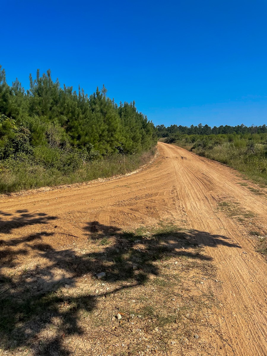 Tbd Union Springs Road Corrigan, TX 75939 - Photo 14 of 20