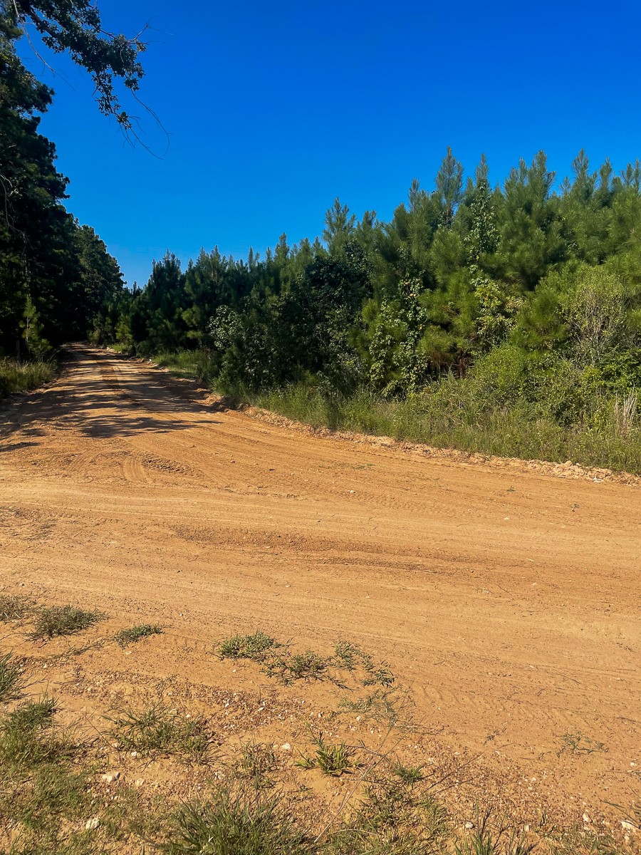 Tbd Union Springs Road Corrigan, TX 75939 - Photo 15 of 20