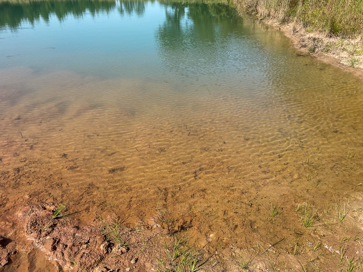 Tbd Union Springs Road Corrigan, TX 75939 - Photo 3 of 20