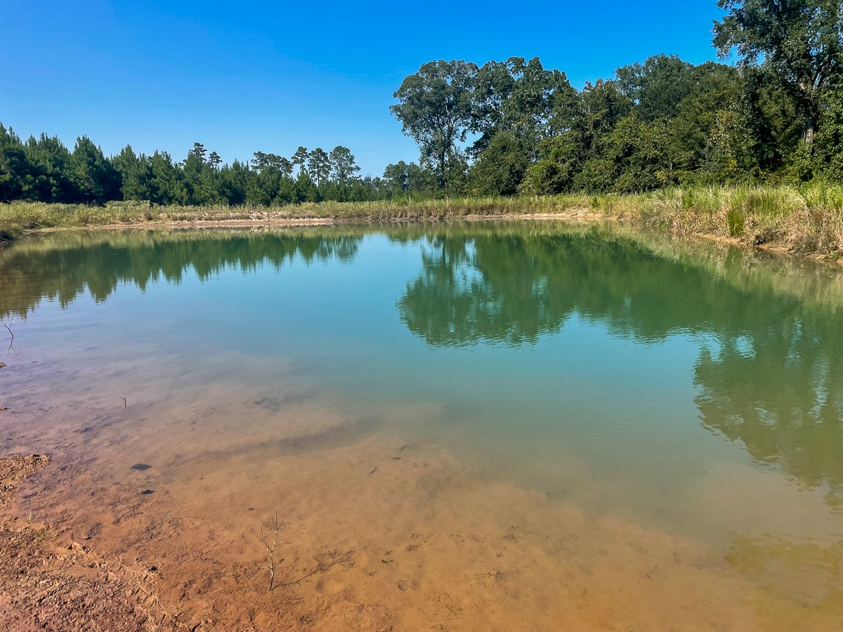 Tbd Union Springs Road Corrigan, TX 75939 - Photo 6 of 20
