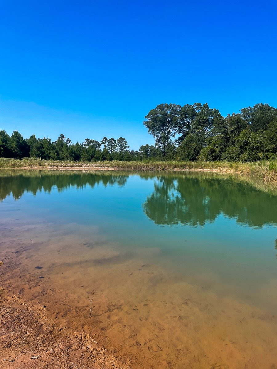 Tbd Union Springs Road Corrigan, TX 75939 - Photo 7 of 20