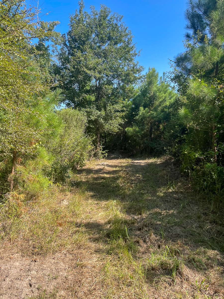 Tbd Union Springs Road Corrigan, TX 75939 - Photo 8 of 20