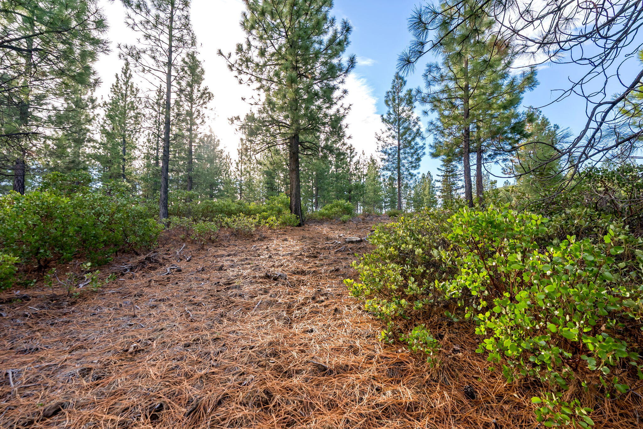 70410 McAllister Road, Unit FS ROAD 2060 Sisters, OR 97759 - Photo 17 of 28