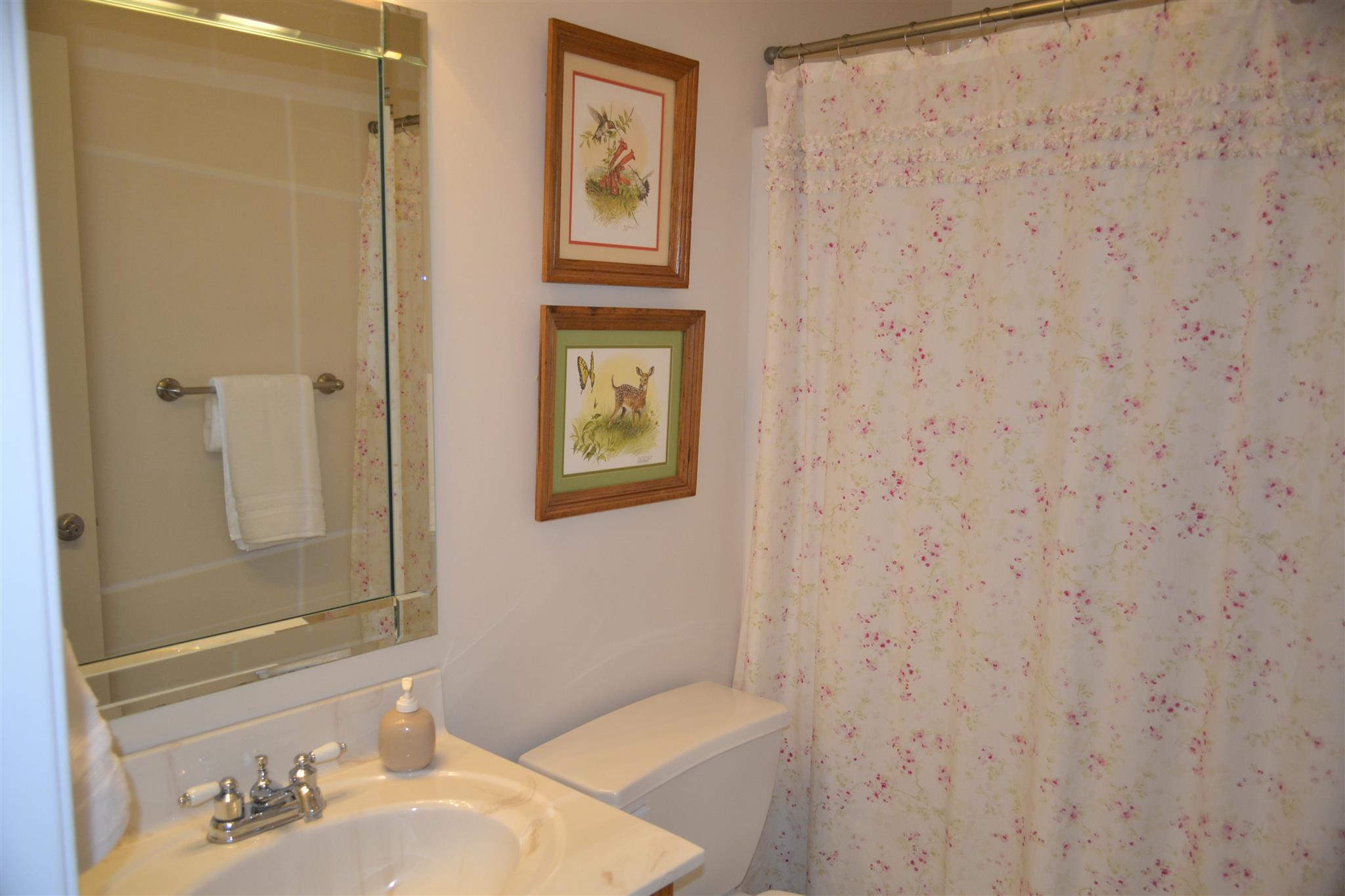 1905 Clara Mathis Road Spring Hill, TN 37174 - Photo 19 of 29 a bathroom with a sink and a mirror