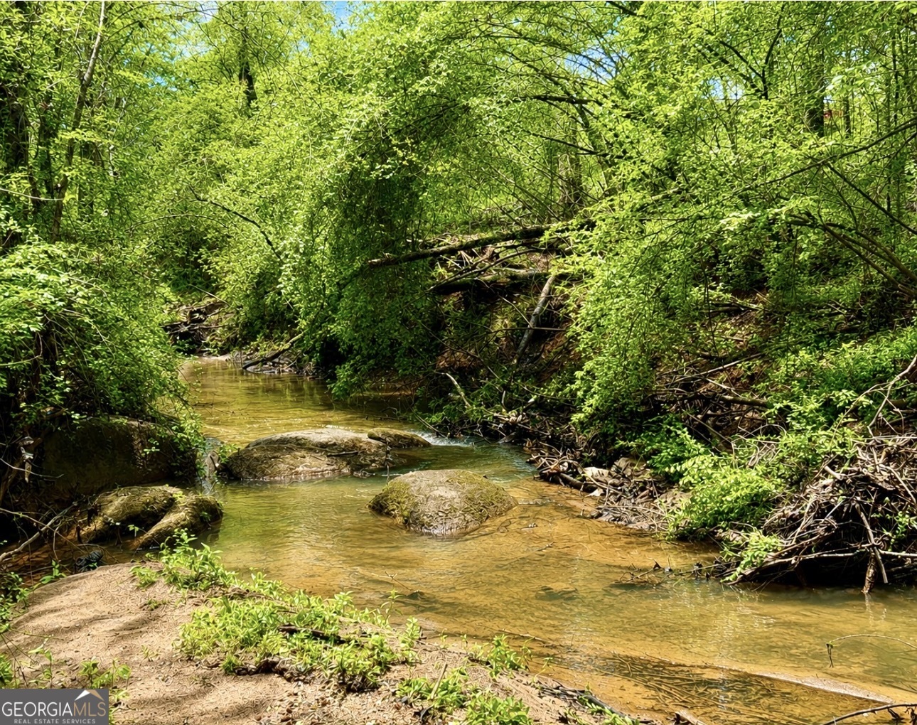 0 Rocky Creek Road Thomaston, GA 30286 - Photo 4 of 30