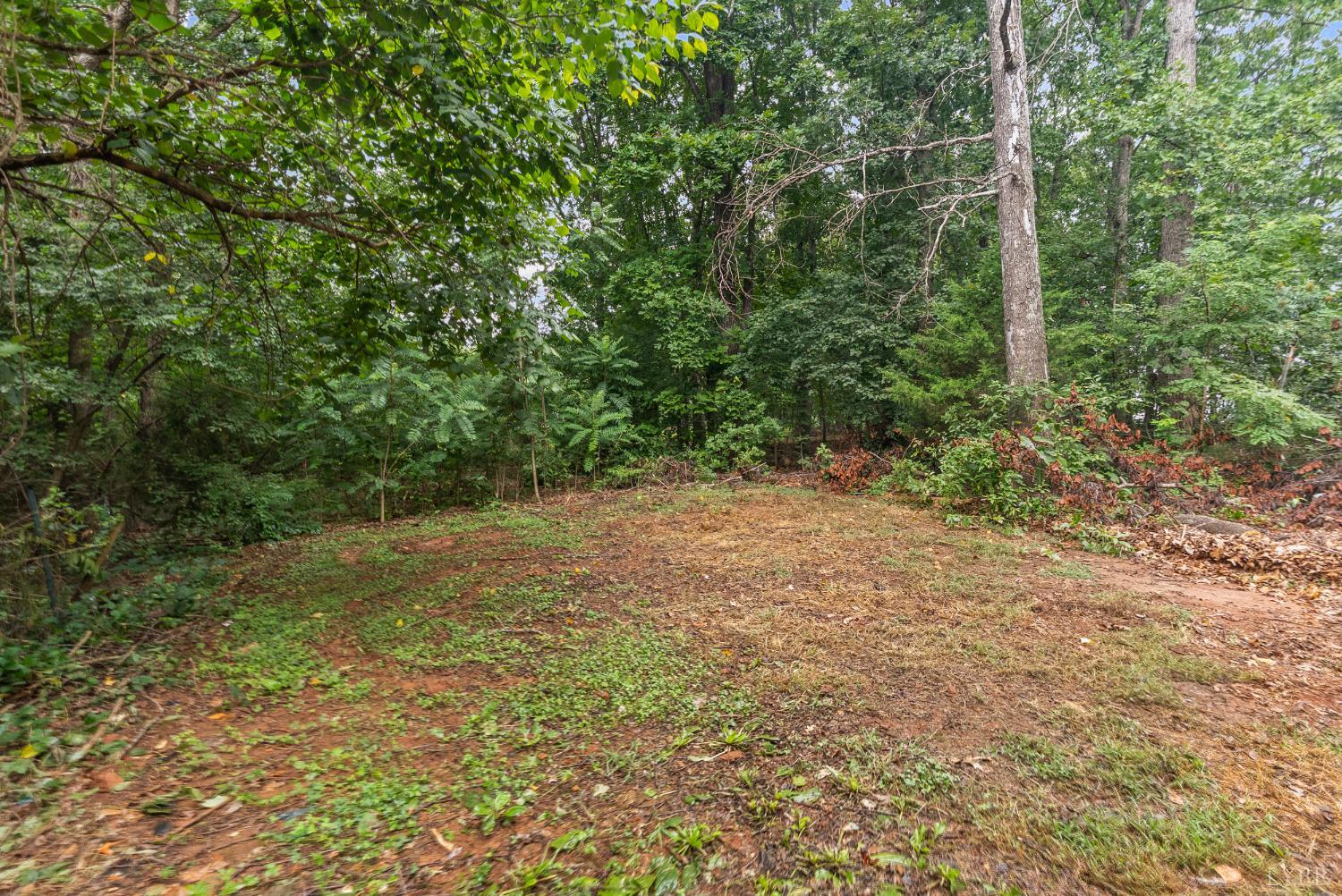 3701 Bethany Road Rustburg, VA 24588 - Photo 46 of 55 a view of a yard with a tree