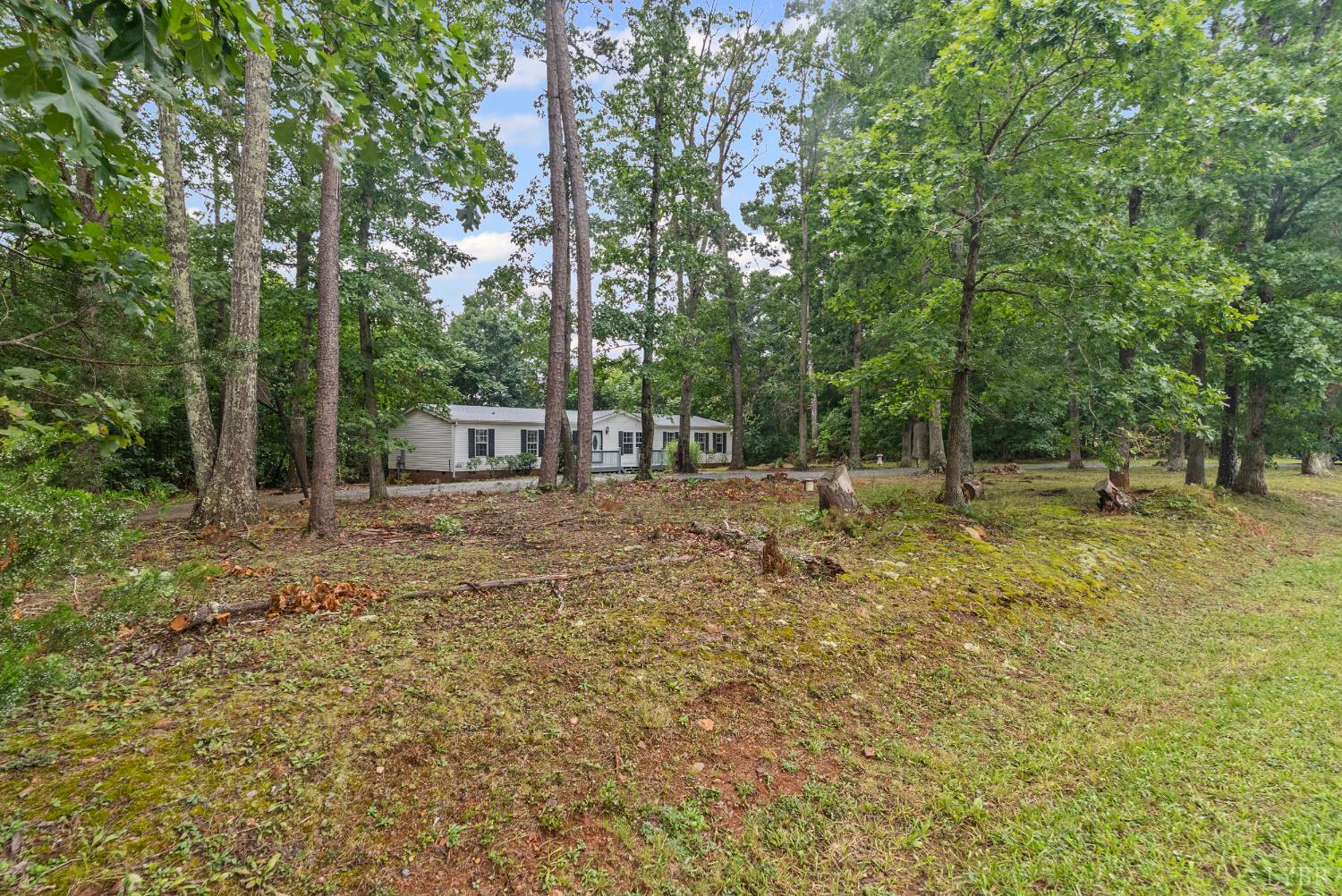 3701 Bethany Road Rustburg, VA 24588 - Photo 49 of 55 a backyard of a house with lots of green space