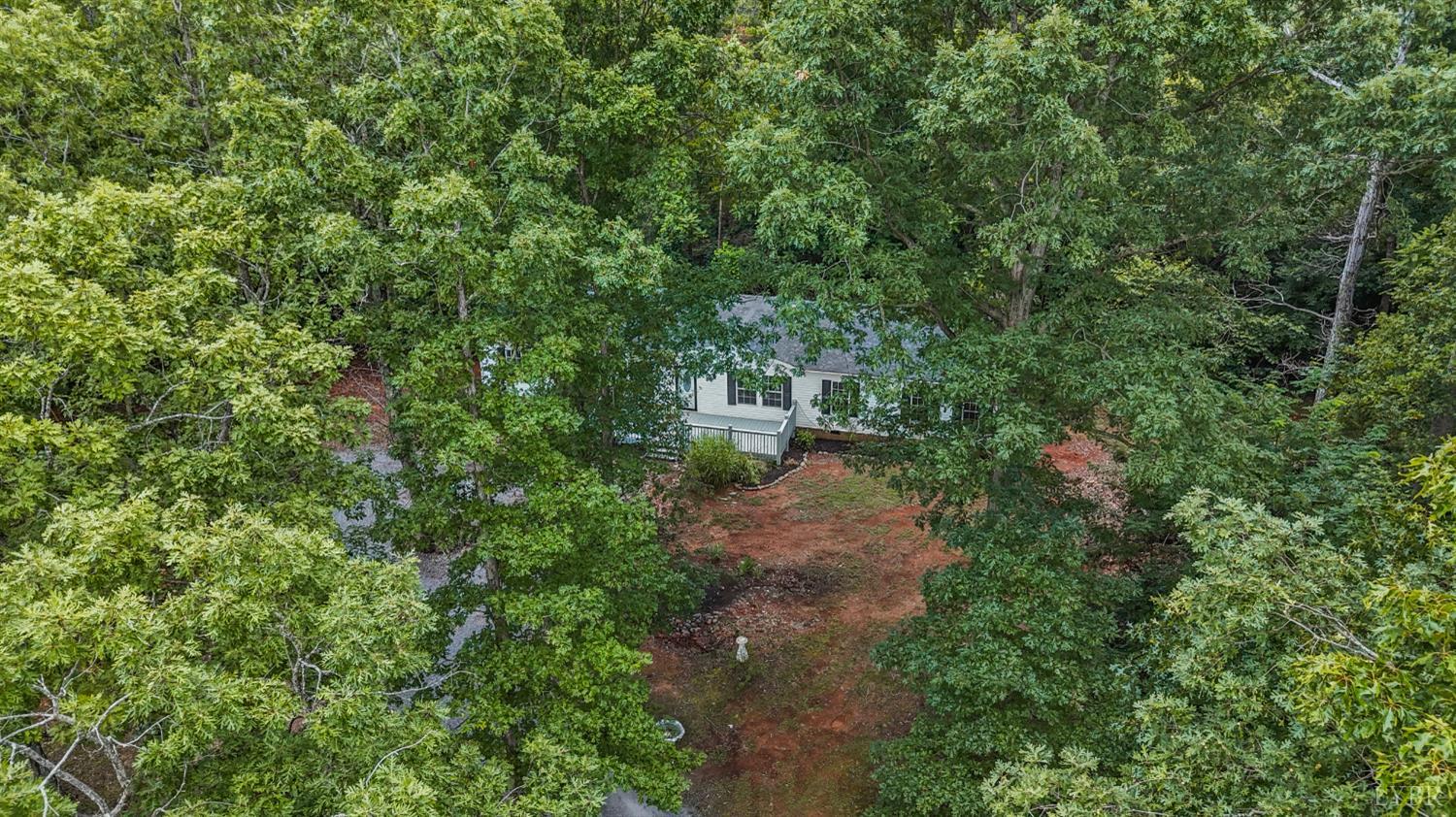 3701 Bethany Road Rustburg, VA 24588 - Photo 51 of 55 a picture of trees