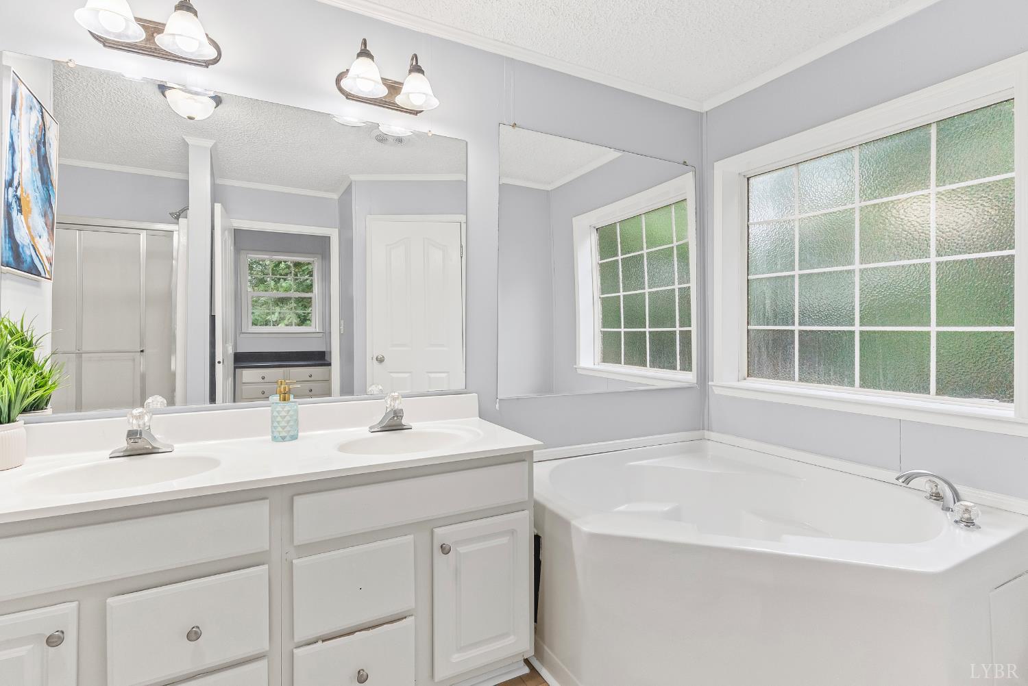 3701 Bethany Road Rustburg, VA 24588 - Photo 6 of 55 a bathroom with a sink double vanity and a bathtub