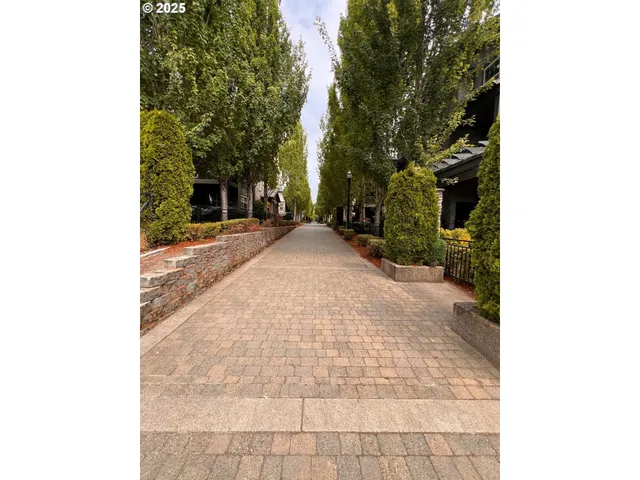 a view of a backyard with plants and trees