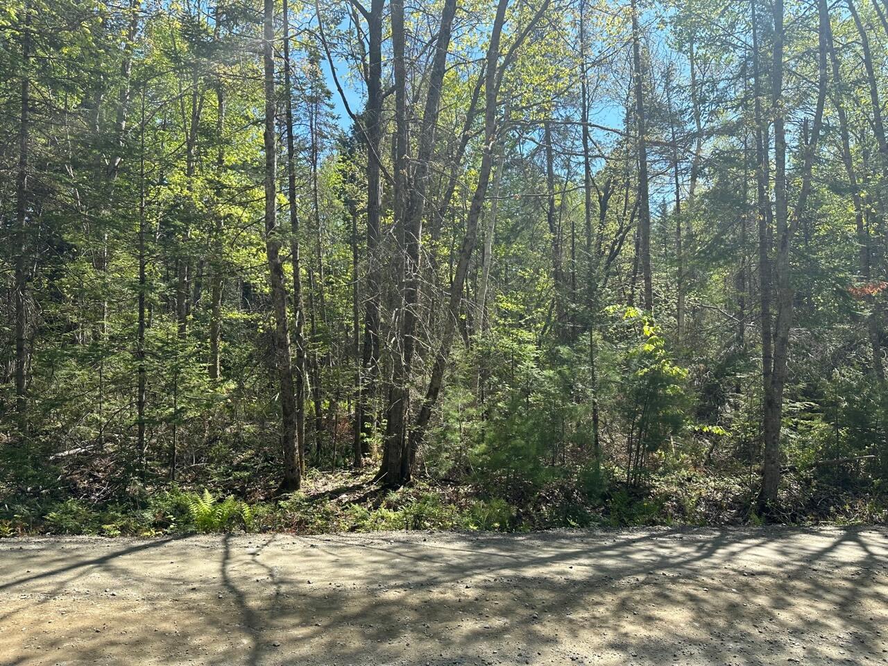 37 Narrows Road Nobleboro, ME 04555 - Photo 16 of 17 IMG_3518