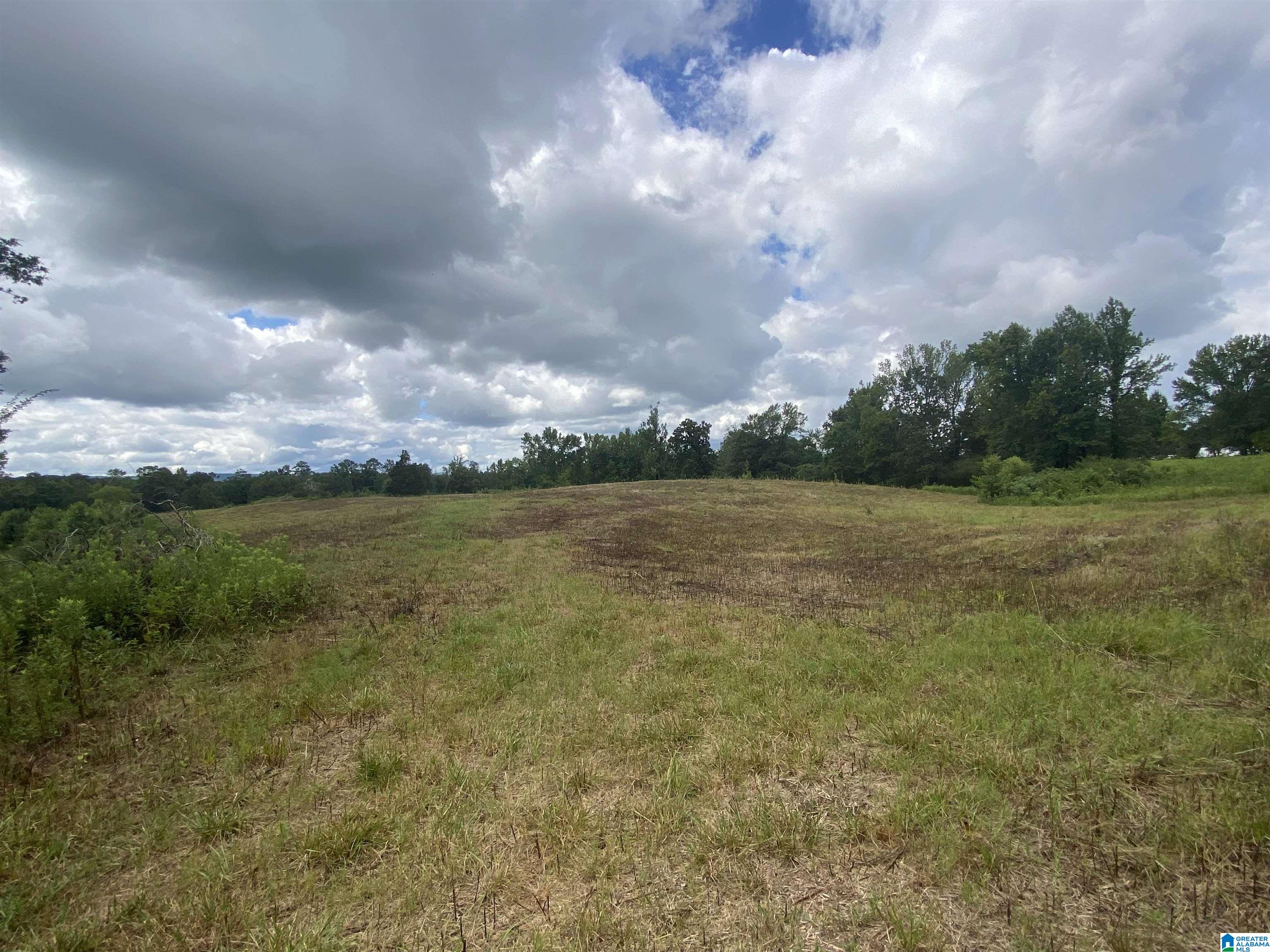 Buck Road, Unit 43 Cleveland, AL 35049 - Photo 3 of 17