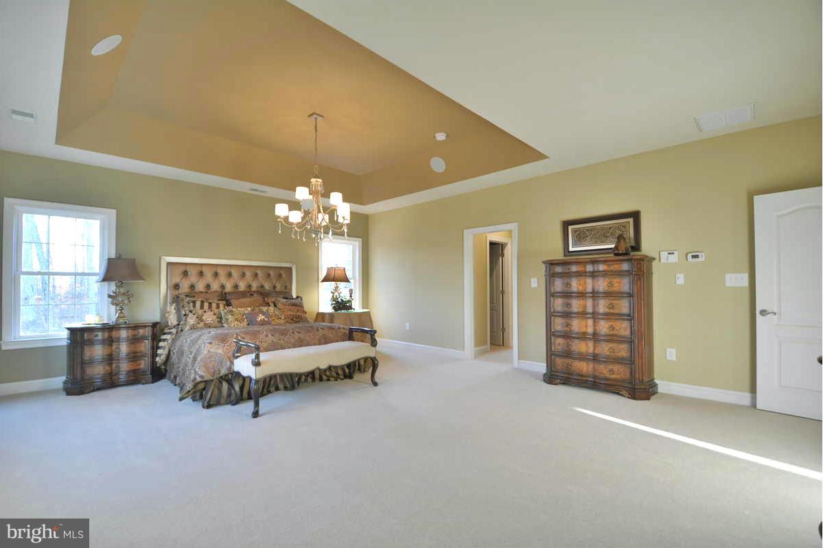 8835 Rommel Drive Lorton, VA 22079 - Photo 16 of 30 Tray Ceiling, 2 Walk-In Closets