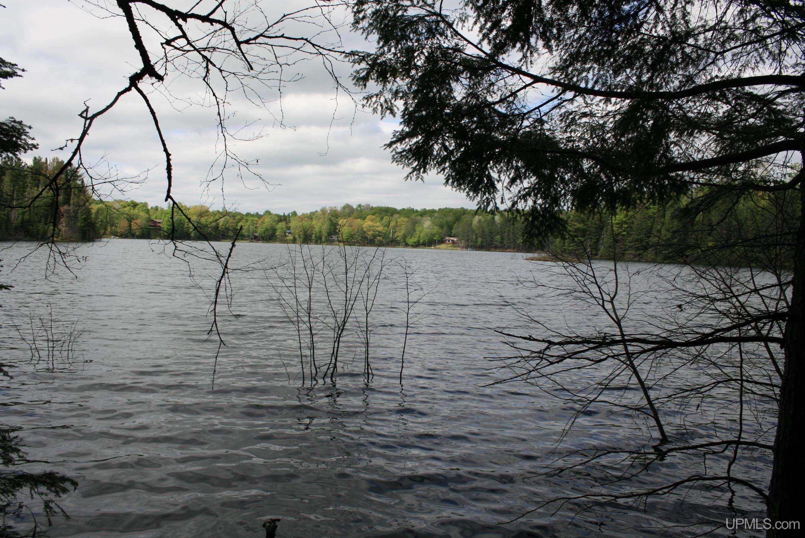 Tbd Sucker Lake Road Watersmeet, MI 49969 - Photo 13 of 24