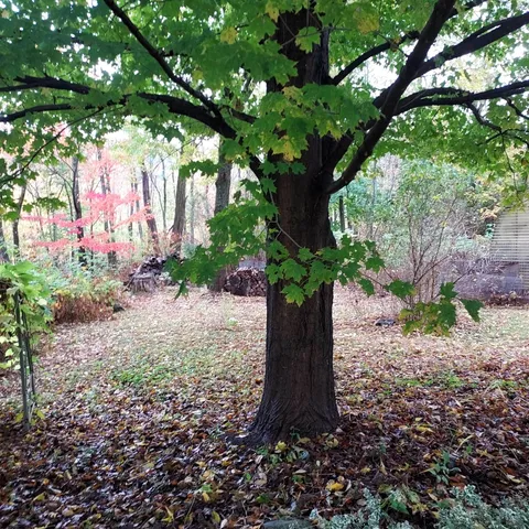 $195,000 | 518 Western Avenue, Berlin, NH 03570